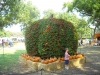 dscn0169