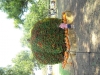 dscn0170