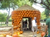 dscn0171