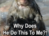 monkey2
