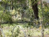 outside with a telephoto lens at iso125