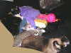 3cats
